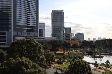 5 Aralık 2024 Şehir Binaları. Huzurlu bir gölet, küçük bir ağaç içeren güzel bir bahçe.