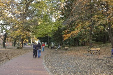 Sonbaharda yakalanan 4 Aralık 2024 parkında güneş ışığı renk fu 'sundan yayılıyor.