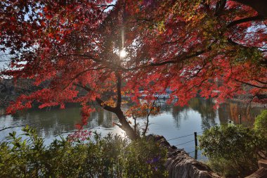 7 Aralık 2024 'te şehir binalarıyla çevrili önemli bir modern kule sergileniyor.