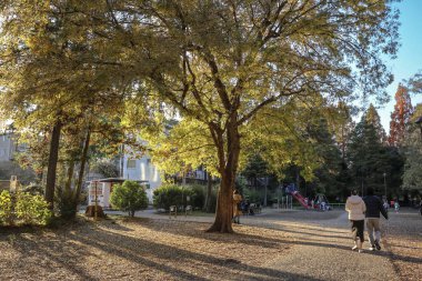4 Aralık 2024 'te altın ağaçların yer aldığı bir sonbahar parkında huzurlu bir gündüz sahnesi