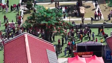 Dilek Ağacı Kültür Geleneğini Kutlayan Kalabalık, Hong Kong, 30 Ocak 2025 