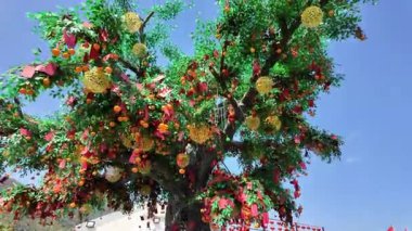 Dilek Ağacı Kültür Geleneğini Kutlayan Kalabalık, Hong Kong, 30 Ocak 2025 