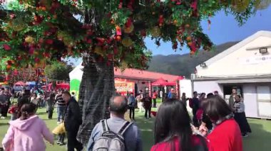 Dilek Ağacı Kültür Geleneğini Kutlayan Kalabalık, Hong Kong, 30 Ocak 2025 