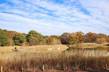 4 Aralık 2024. Huzurlu sonbahar sahnesi canlı yapraklarla çevrili bir göl.
