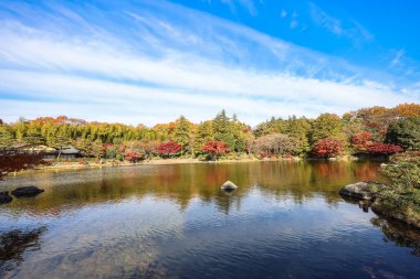 4 Aralık 2024 Japon bahçesi sakin bir gölet, renkli sonbahar ağaçları