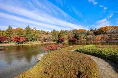 4 Aralık 2024 Japon bahçesi sakin bir gölet, renkli sonbahar ağaçları