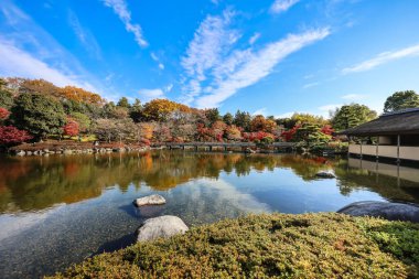 4 Aralık 2024 Japon bahçesi sakin bir gölet, renkli sonbahar ağaçları