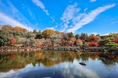 4 Aralık 2024 Japon bahçesi sakin bir gölet, renkli sonbahar ağaçları