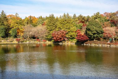 4 Aralık 2024 Japon bahçesi sakin bir gölet, renkli sonbahar ağaçları