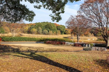 4 Aralık 2024 Canlı sonbahar yaprakları sergilenen sakin bir park
