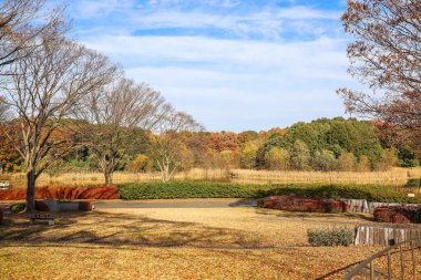 4 Aralık 2024 Canlı sonbahar yaprakları sergilenen sakin bir park