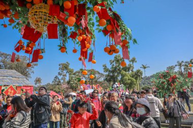 29 Ocak 2025 Lam Tsuen Hong Kong Geleneği Dilek Ağacı