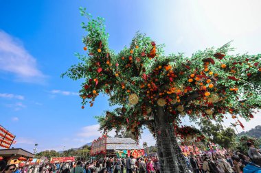 Lam Tsuen Dilek Ağacı Hong Kong Halk Çekimi 29 Ocak 2025