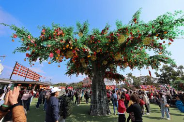 Lam Tsuen Dilek Ağacı Hong Kong Halk Çekimi 29 Ocak 2025