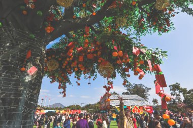 29 Ocak 2025 Lam Tsuen Hong Kong Geleneği Dilek Ağacı