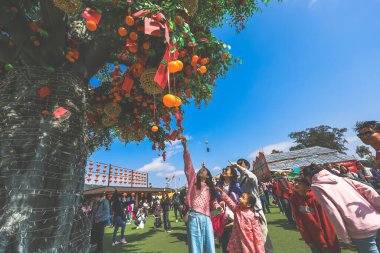 Lam Tsuen Hong Kong Geleneği Dilek Ağacı 29 Ocak 2025