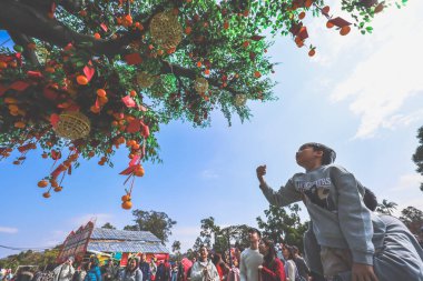 Lam Tsuen Hong Kong Geleneği Dilek Ağacı 29 Ocak 2025