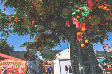 Lam Tsuen Hong Kong Geleneği Dilek Ağacı 29 Ocak 2025