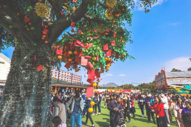 Lam Tsuen Hong Kong Geleneği Dilek Ağacı 29 Ocak 2025