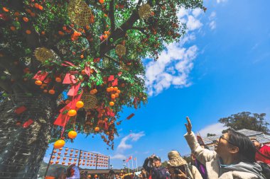 Lam Tsuen Dilek Ağacı Hong Kong Halk Çekimi 29 Ocak 2025