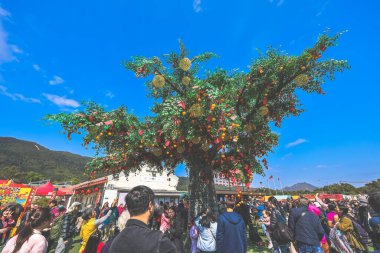 29 Ocak 2025 Kırmızı fenerler ve altın süslemelerle süslenmiş