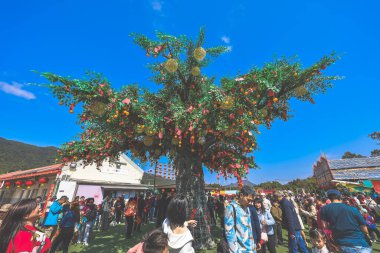 29 Ocak 2025 Lam Tsuen Hong Kong Geleneği Dilek Ağacı