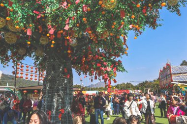 29 Ocak 2025 Lam Tsuen Hong Kong Geleneği Dilek Ağacı