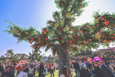 29 Ocak 2025 Lam Tsuen Hong Kong Geleneği Dilek Ağacı