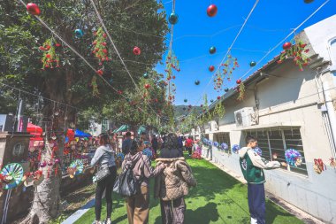 29 Ocak 2025 Tai Po Lam Tsuen Dilek Ağacı Hong Kong İnsanlarıyla