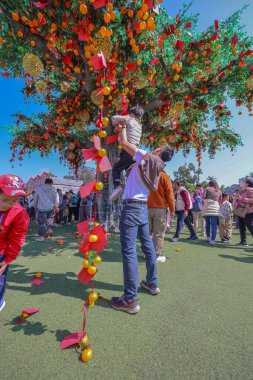 29 Ocak 2025 Kırmızı Zarfı Tangerine Ağacı 'na yerleştiren Çocuk