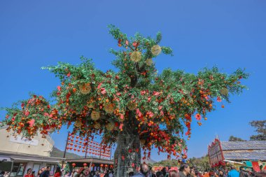 29 Ocak 2025 Kırmızı fenerler ve altın süslemelerle süslenmiş