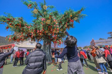 Jan 29 2025 Child Placing Red Envelope on Tangerine Tree During clipart