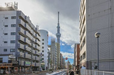 Hikifune Tokyo 'nun yerleşim alanından Skytree' nin 8 Aralık 2024 görüntüsü