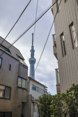 Hikifune Tokyo 'nun yerleşim alanından Skytree' nin 8 Aralık 2024 görüntüsü