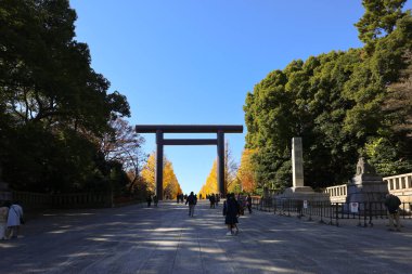 Dec 7 2024 Japanese torii gate surrounded by vibrant yellow and green trees in autumn clipart