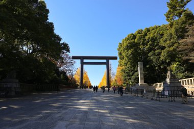7 Aralık 2024 Japon torii kapısı Sonbaharda canlı sarı ve yeşil ağaçlarla çevrili