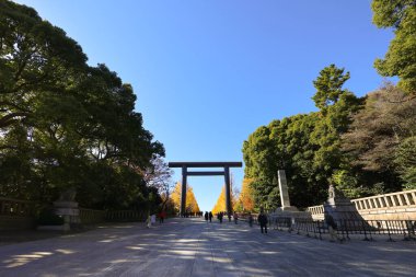 7 Aralık 2024 Japon torii kapısı Sonbaharda canlı sarı ve yeşil ağaçlarla çevrili