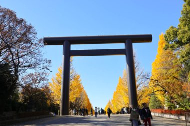 Siluetli insanlar, Torii kapısının altından yürüyorlar. 7 Aralık 2024 'te altın sonbahar ile çevrili.