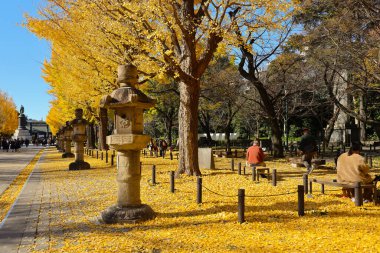 7 Aralık 2024 Yasukuni Jinja Tapınağı Tokyo Güzeli