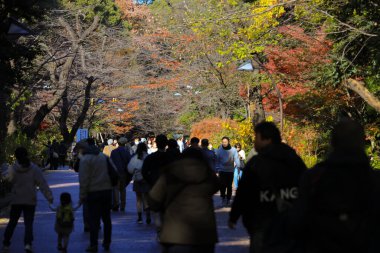 7 Aralık 2024 Huzur Parkı sahnesinde bir grup insan yürüyor.