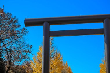 Silhouetted people walk under a Torii gate surrounded by golden autumn Dec 7 2024 clipart