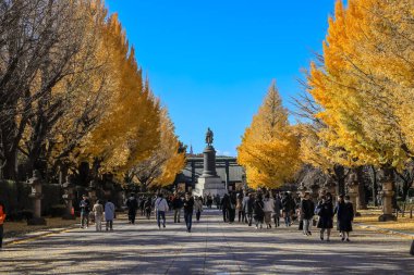 7 Aralık 2024 Japonya 'da canlı sarı ginkgo ağaçlarıyla çevrili kalabalık tapınak yolu.,