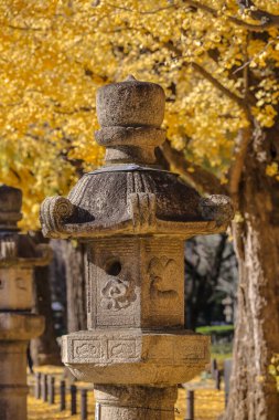 7 Aralık 2024 'ün ortasında karmaşık detaylara sahip taş fenerler.