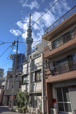 Dec 8 2024 Residential Area of Sumida City with Skytree Tokyo Japan clipart