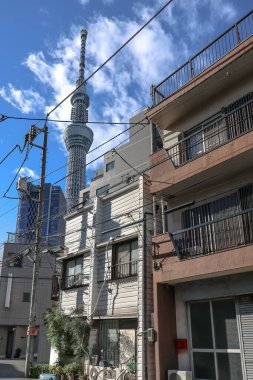 Dec 8 2024 Residential Area of Sumida City with Skytree Tokyo Japan clipart