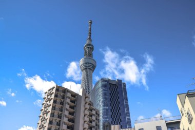 Dec 8 2024 Residential Area of Sumida City with Skytree Tokyo Japan clipart