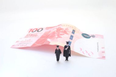 Mezuniyet sertifikası ve para birimi notları olan minyatür mezun bebeği.