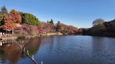 Inokashira Parkı Tokyo Sahne Doğası ve Göl Manzarası, 4 Aralık 2024 