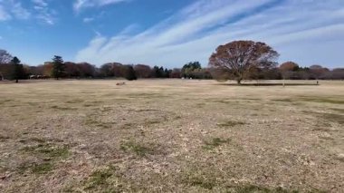 Showa Anıt Parkı Tokyo Doğal Manzara Manzarası, 4 Aralık 2024 