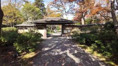 Showa Anıt Parkı Tokyo Doğal Manzara Manzarası, 4 Aralık 2024 